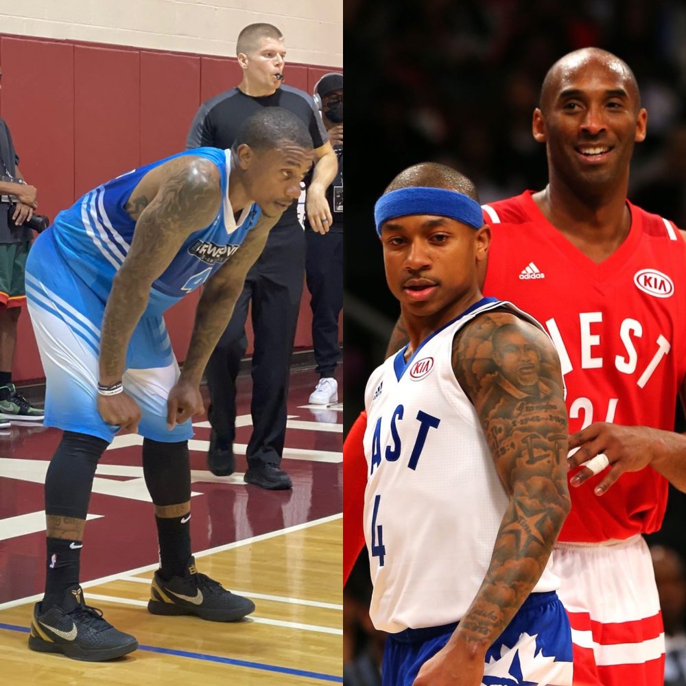 不仅提升了 不仅提升了