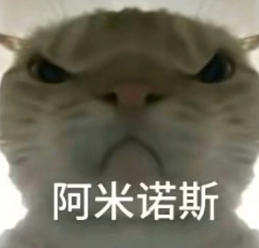 应异国文化 应异国文化